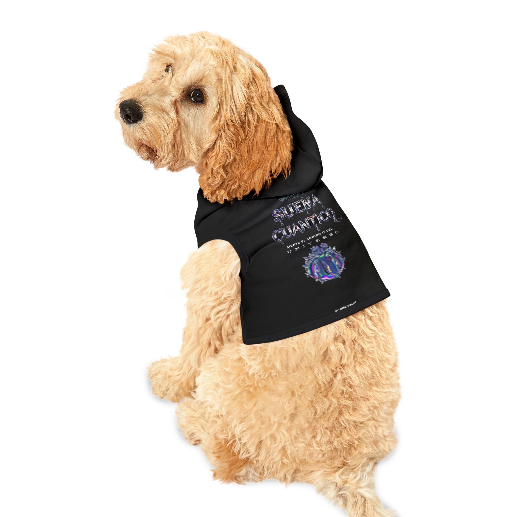 Cosmic Pet Hoodie for Stylish Pets, Cute Dogwear, Pet Gift, Galaxy Dog Hoodie, Astrophysics Pet Apparel