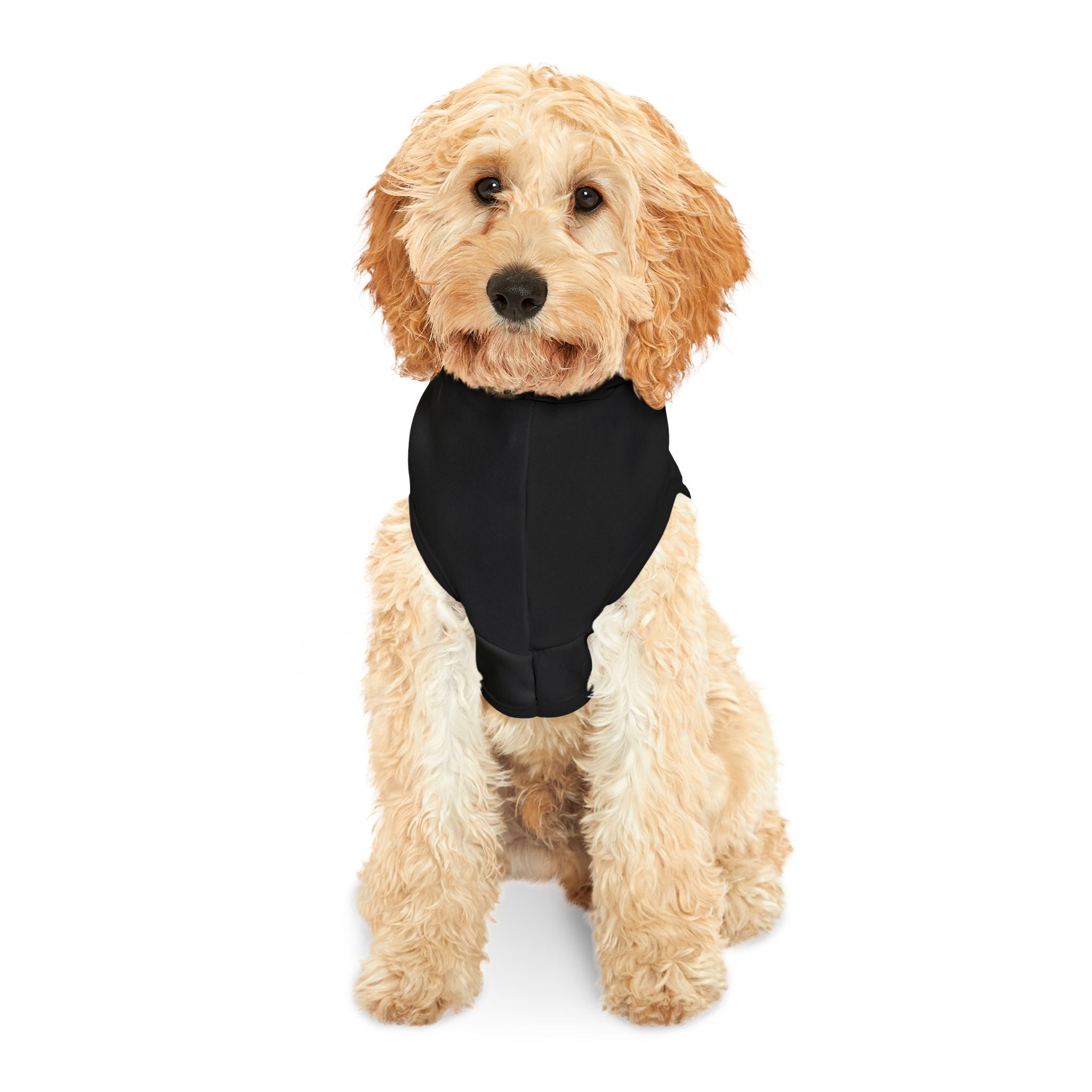 Cosmic Pet Hoodie for Stylish Pets, Cute Dogwear, Pet Gift, Galaxy Dog Hoodie, Astrophysics Pet Apparel